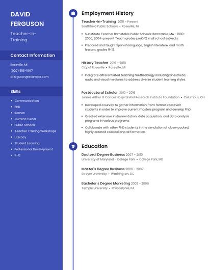 Resume example 4