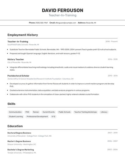 Resume example 2