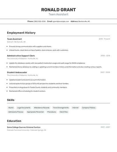 Resume example 2