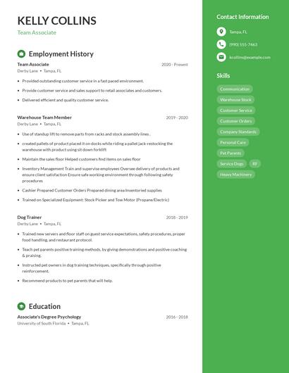 Resume example 4