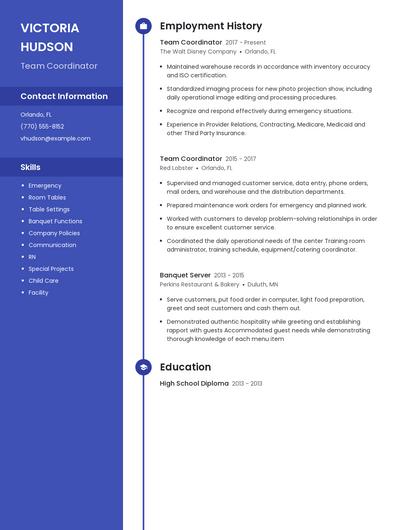 Team Coordinator Resume