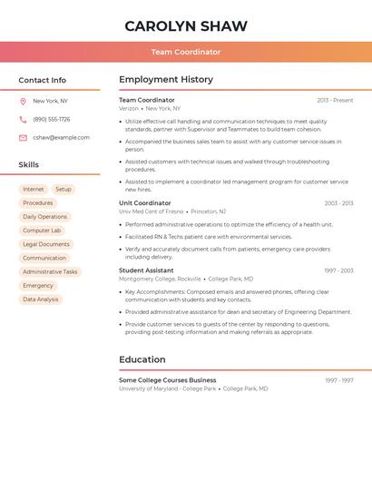 Resume example 3
