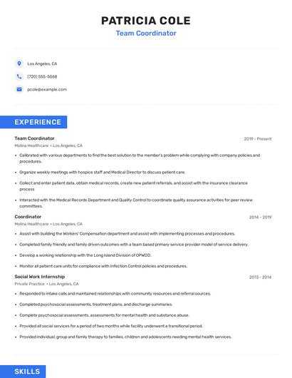 Team Coordinator Resume