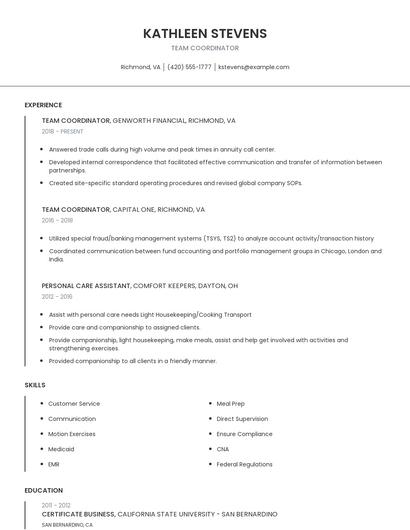 Team Coordinator Resume