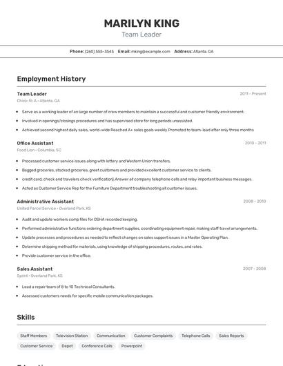 Resume example 2