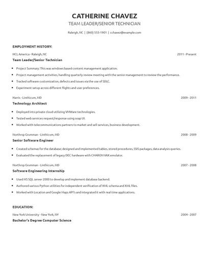 Team Leader/Senior Technician Resume