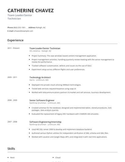 Team Leader/Senior Technician Resume