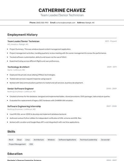 Team Leader/Senior Technician Resume