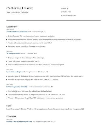 Team Leader/Senior Technician Resume