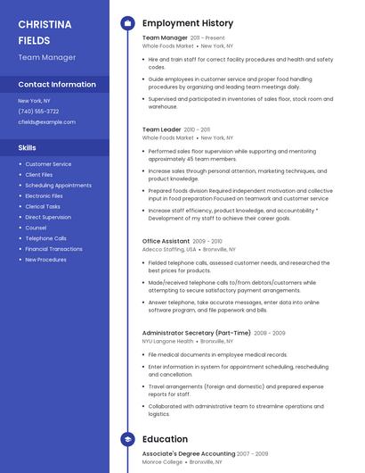 Resume example 5