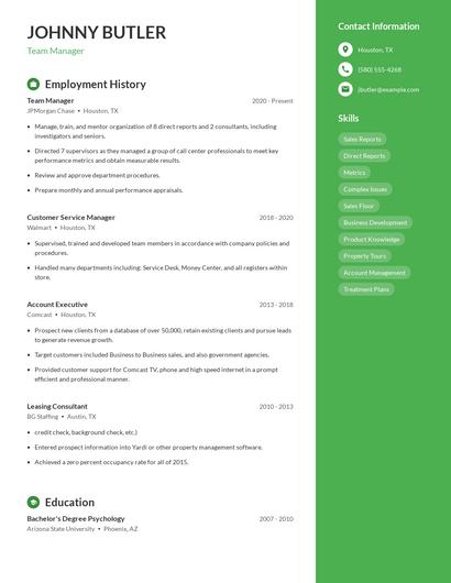 Resume example 4