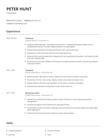 Teamster Resume