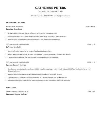 Technical Consultant Resume