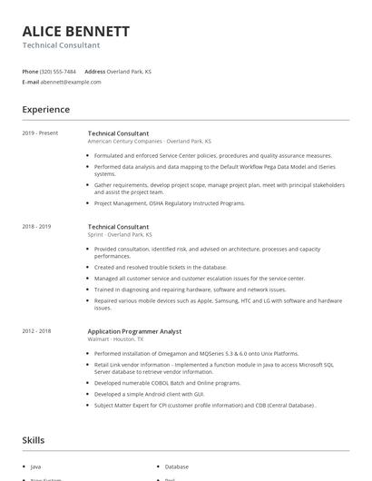 Technical Consultant Resume