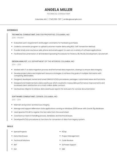 Technical Consultant Resume