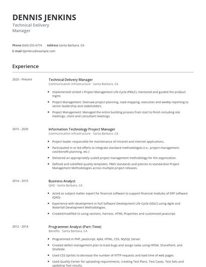 Technical Delivery Manager Resume