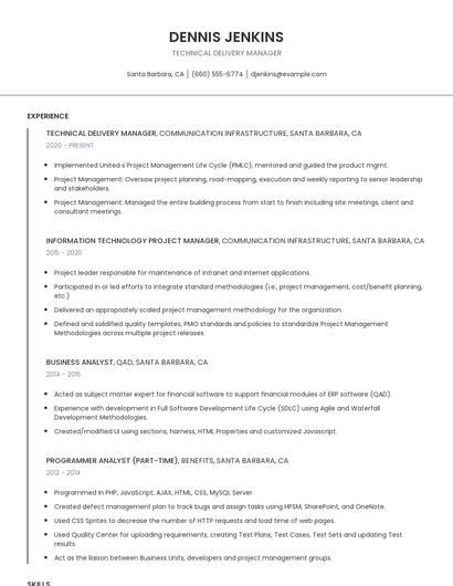 Technical Delivery Manager Resume