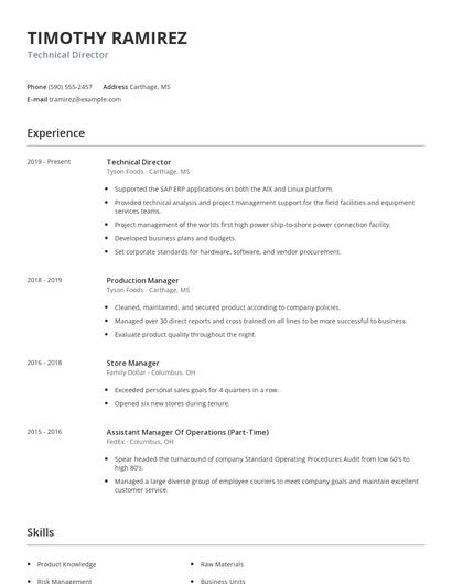 Technical Director Resume