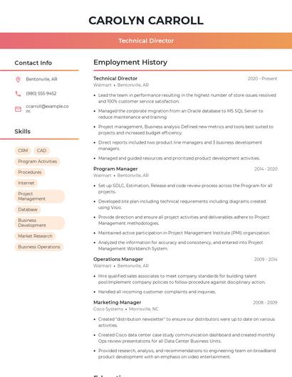 Technical Director Resume