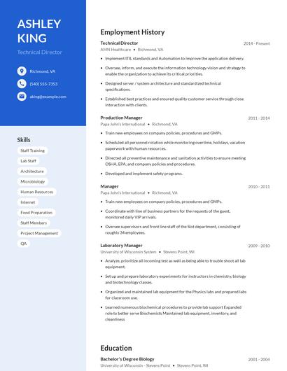 Technical Director Resume