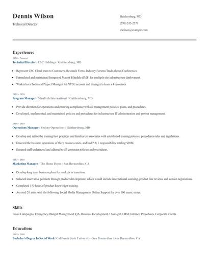 Technical Director Resume
