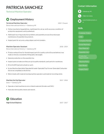 Resume example 5
