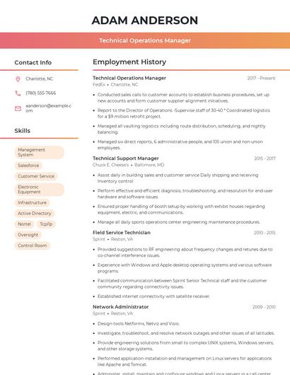 Resume example 3