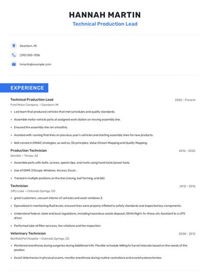 Technical Production Lead Resume