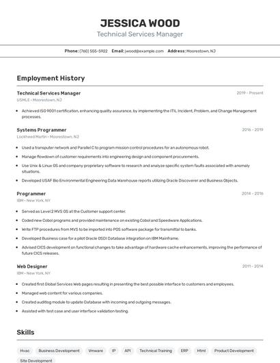 Resume example 2