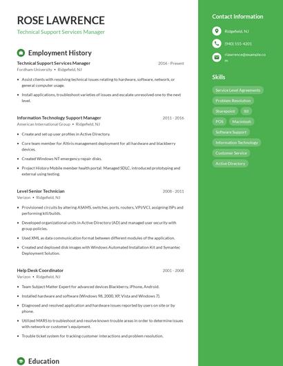 Resume example 4