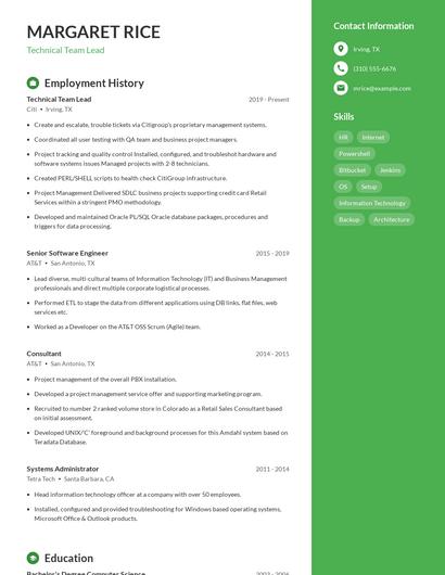 Resume example 4