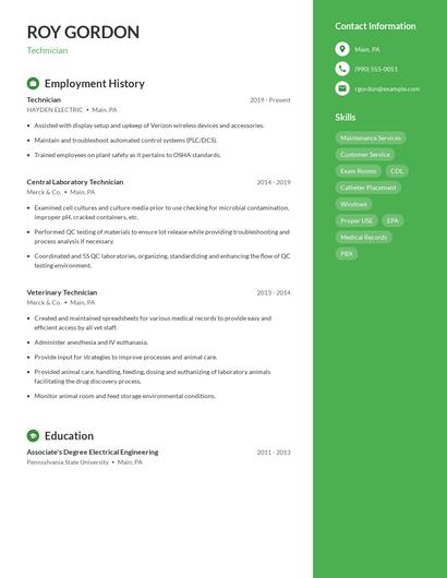 Resume example 5