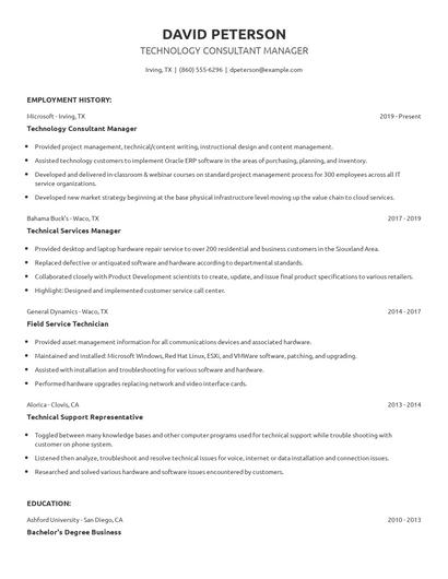 Technology Consultant Manager Resume