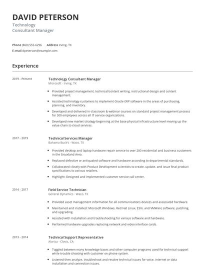 Technology Consultant Manager Resume