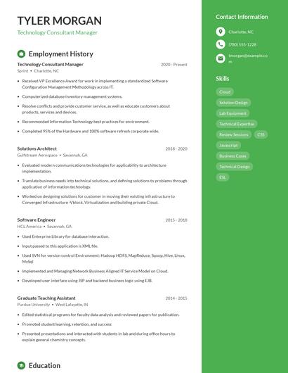 Technology Consultant Manager Resume