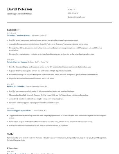 Technology Consultant Manager Resume