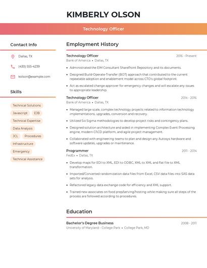 Technology Officer Resume
