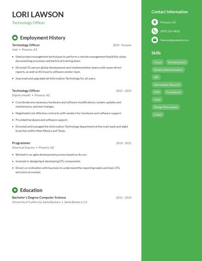 Technology Officer Resume