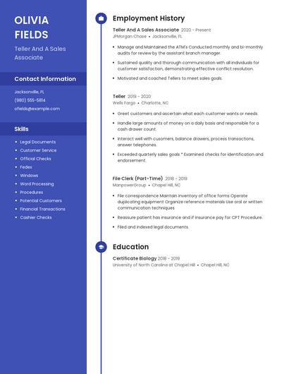 Teller And A Sales Associate Resume