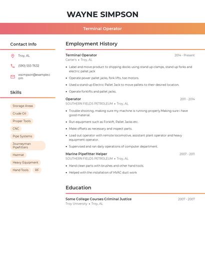 Resume example 3