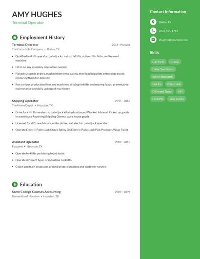 Resume example 4