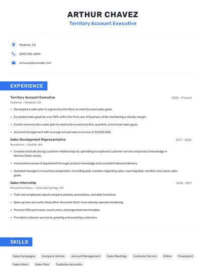 Territory Account Executive Resume