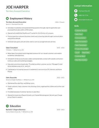 Territory Account Executive Resume