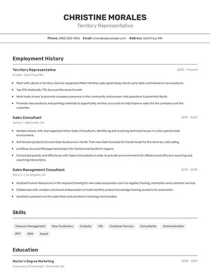Resume example 2