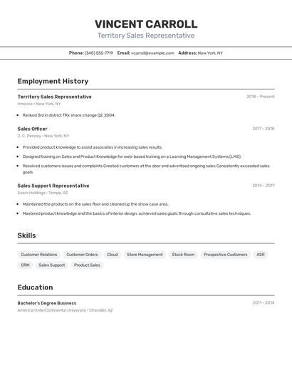 Resume example 2