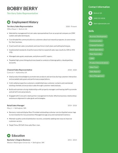 Resume example 4