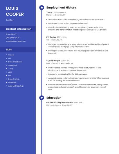 Resume example 5