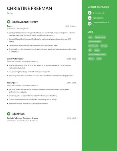 Resume example 4