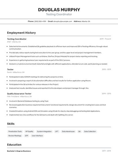 Resume example 2