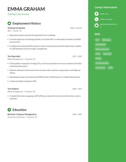 Resume example 4